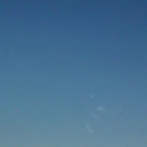 Meet your Posher, Blake